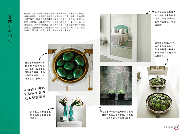 1735225188604626.jpg