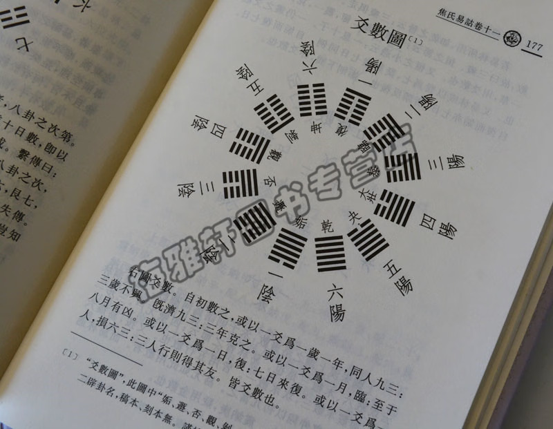 1744849954739515.jpg